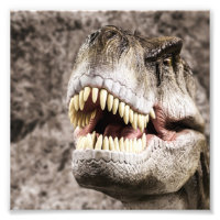 T-Rex Cabeça Feroz