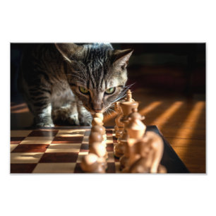 Foto Tabby Cat Jogando Xadrez