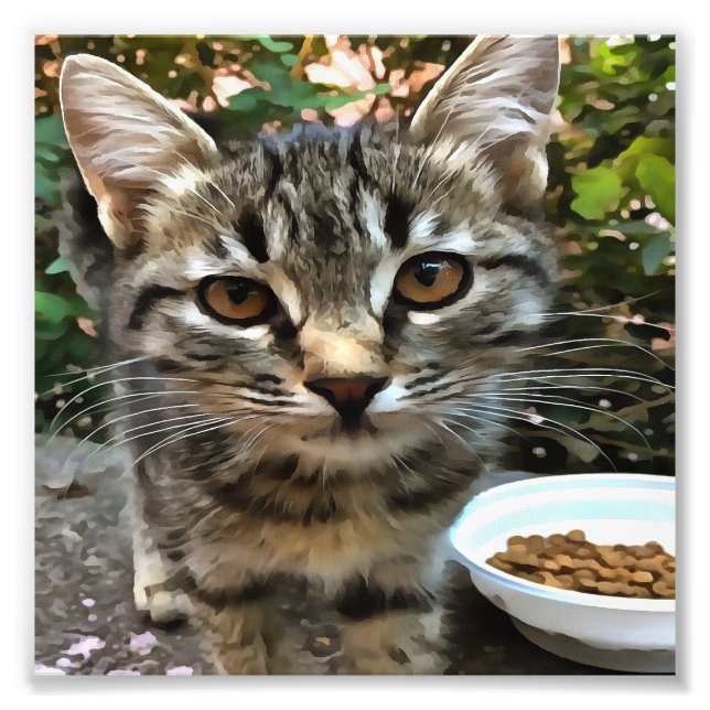 Foto Tabby Cat Kitten Fazer Eye Contato (Frente)