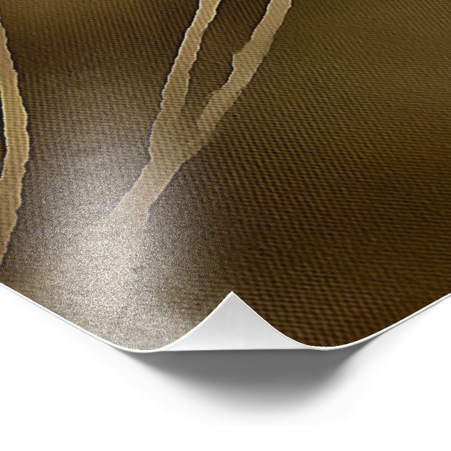 Foto Tabby Ginger Adorável Posicionando Retrato Pet (Borda)