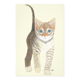 Foto Tabby Kitten 24x36 Poster