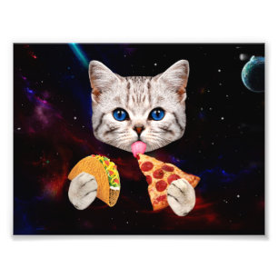 Foto Taco, gato e pizza