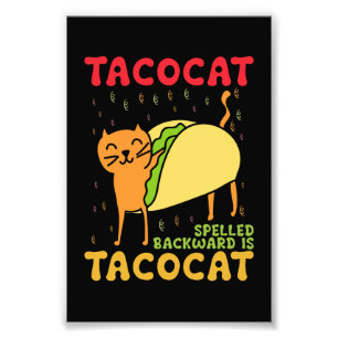 Foto Tacocat Escrito ao Contrário Tacos Gatos Cinco De 