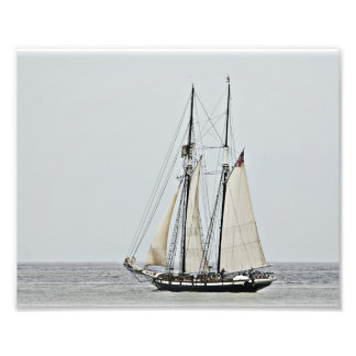 Foto Tall Ship California