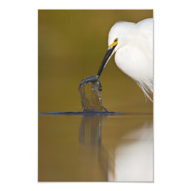 Foto Te peguei (Frente)