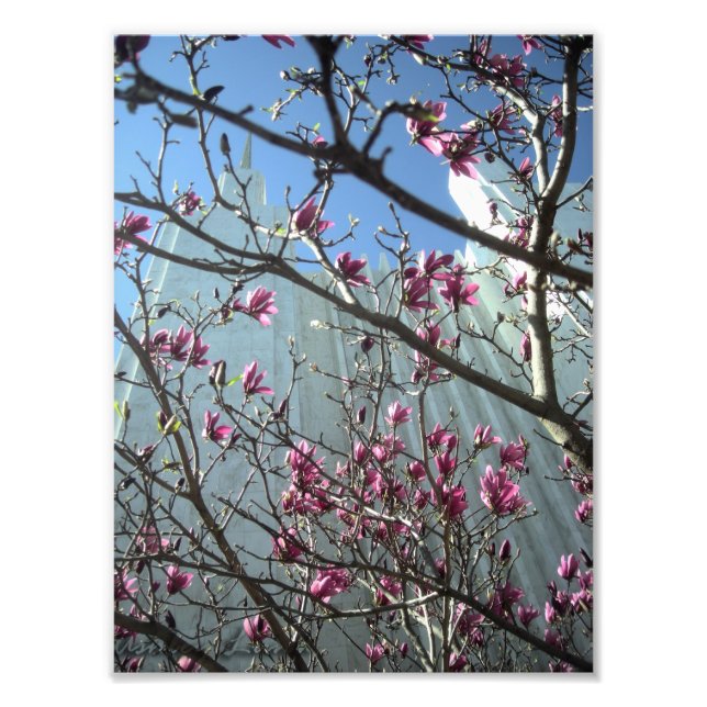 Foto Templo DC em Flores Rosa (Frente)