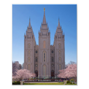 Foto Templo de 8 x de 10 Salt Lake com as árvores em