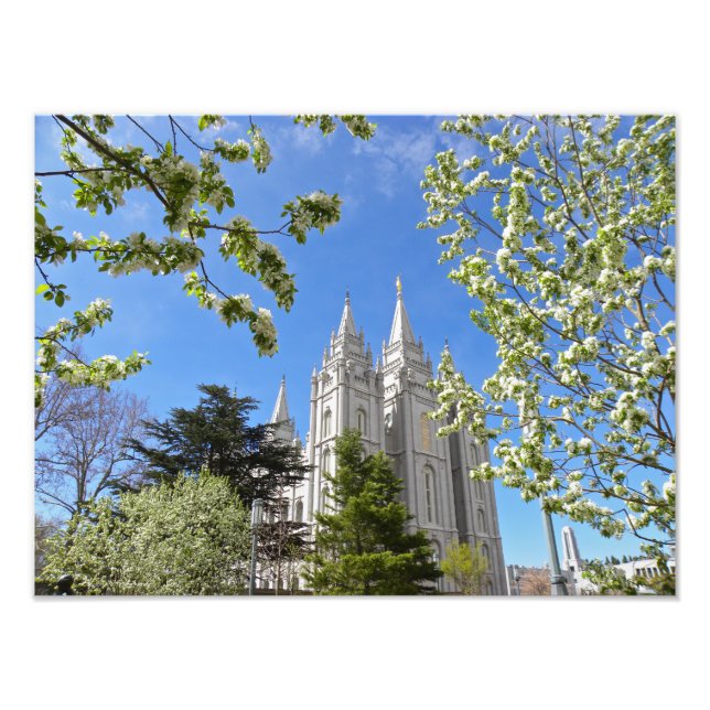 Foto Templo LDS de Salt Lake City de 16" X 12" (Frente)
