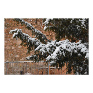 Foto Tempo de inverno, neve nas árvores