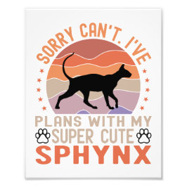 Foto Tenho planos com meu gato Sphynx