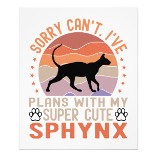 Foto Tenho planos com meu gato Sphynx