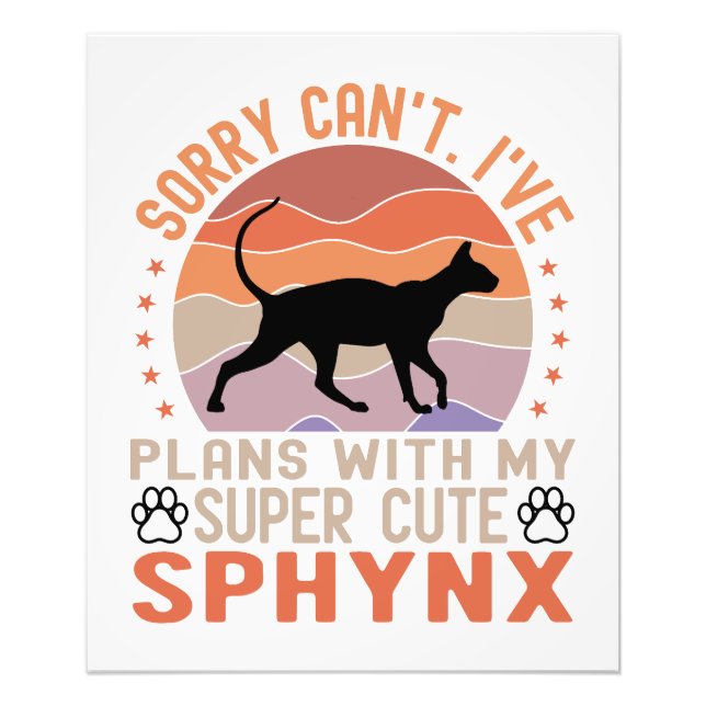 Foto Tenho planos com meu gato Sphynx (Frente)