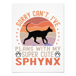 Foto Tenho planos com meu gato Sphynx