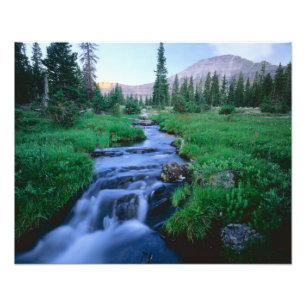 Foto TERRA SELVAGEM DE HIGH UINTAS, UTAH. Stillwater Fo