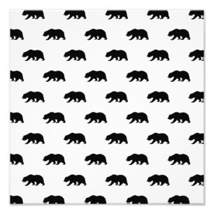 Foto Teste padrão branco e preto do urso de urso