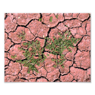 Foto Textura Legal da Terra rachada