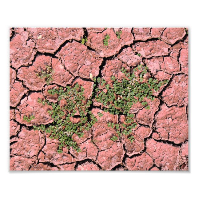 Foto Textura Legal da Terra rachada (Frente)