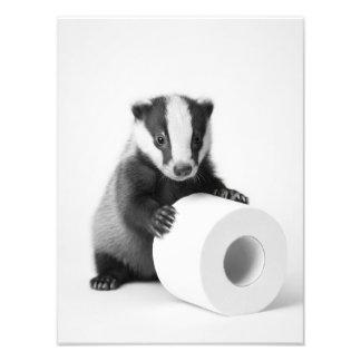 Foto Texugo Bebê Estético Segurando Papel Higiênico Fof