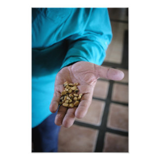 Foto The Hand That Guides