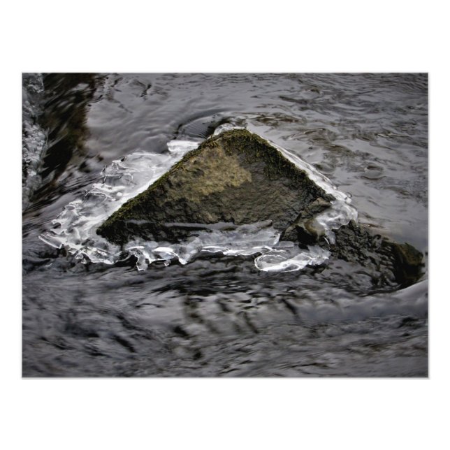 Foto "The Living Rock" (Frente)