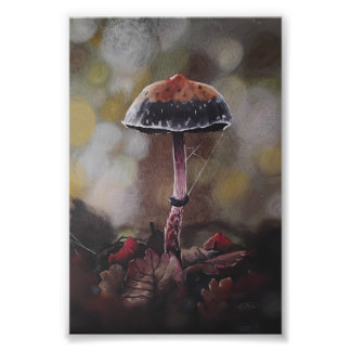 Foto The Wounded Mushroom Mini