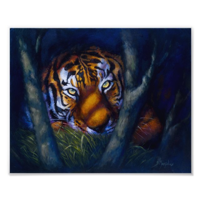 Foto Tiger Eyes (Frente)