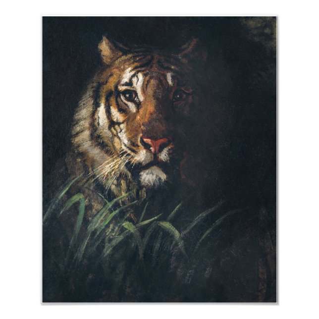 Foto Tiger: Pintura na cabeça de Abbott Handerson Thaye (Frente)