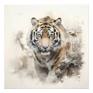 Foto Tiger Wild Animal
