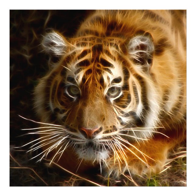 Foto Tigre20151206 (Frente)