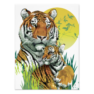 Foto Tigre-de-bengala Com Filhote