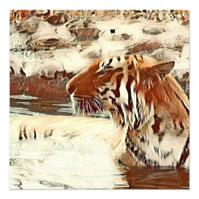 Foto tigre de natação de cor quente (Frente)
