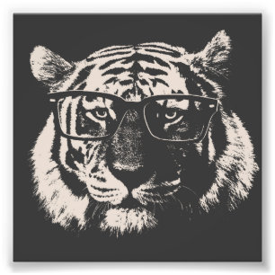Foto Tigre do hipster com óculos