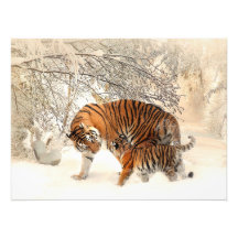 Tigre e filhote lindos na neve