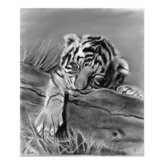 Foto Tigre Filhote Adormecido