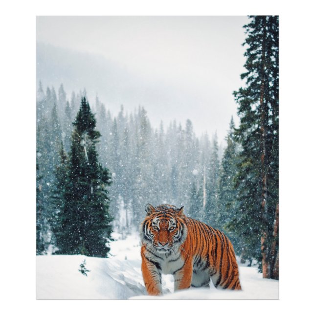 Foto tigre na neve (Frente)