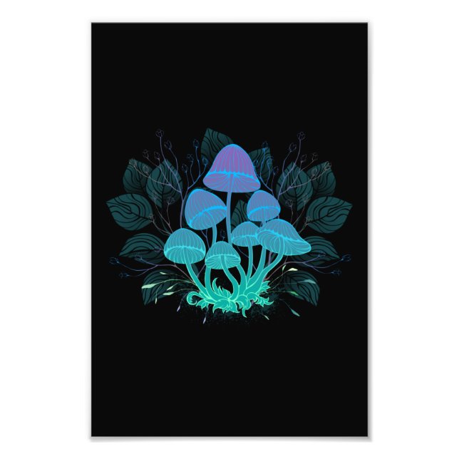 Foto Toadstools em arbustos (Frente)