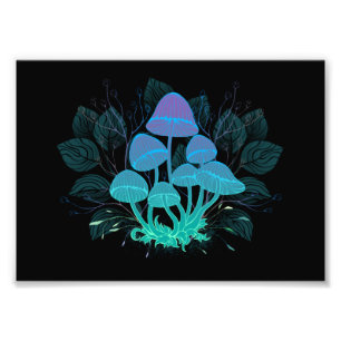 Foto Toadstools em arbustos