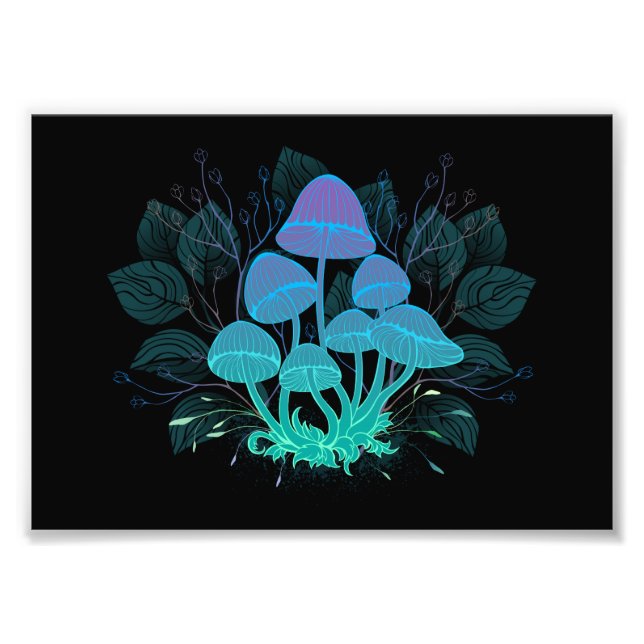 Foto Toadstools em arbustos (Frente)