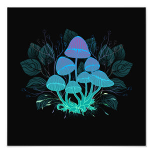 Foto Toadstools em arbustos