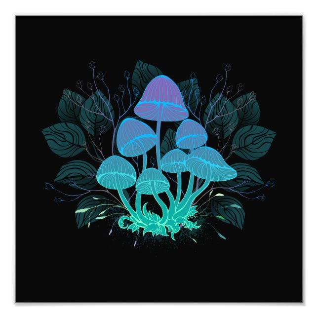 Foto Toadstools em arbustos (Frente)