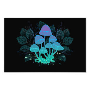 Foto Toadstools em arbustos