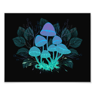 Foto Toadstools em arbustos