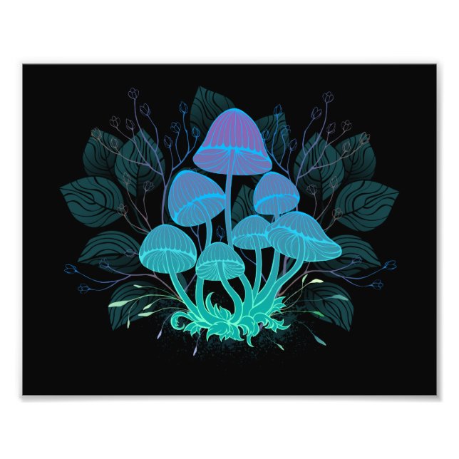 Foto Toadstools em arbustos (Frente)