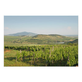 Foto Tokaj vineyards, Hungria