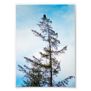 Foto Torre de monitoração