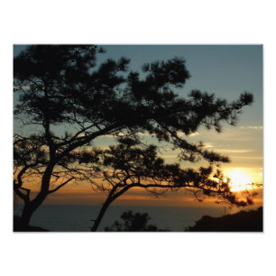 Foto Torrey Pine Sunset I California Landscape