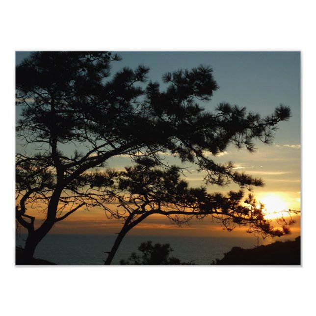 Foto Torrey Pine Sunset I California Landscape (Frente)