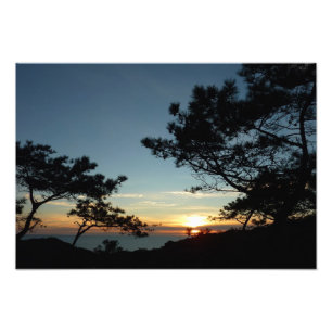 Foto Torrey Pine Sunset III Paisagem da Califórnia