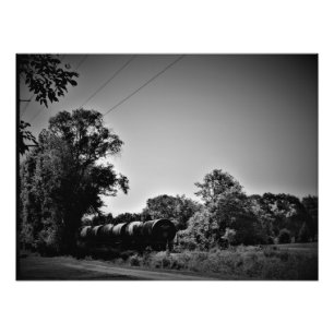 Foto "Tranquilidade de Domingo"