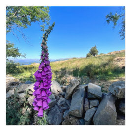 Foto Tranquilidade do campo inglês